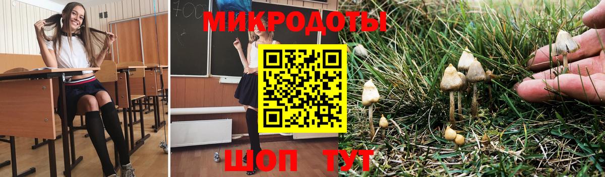 Галлюциногенные грибы прущие грибы  Вход с VPN  купить  цена  Псилоцибиновые грибы GOLDEN TEACHER  Магнитогорск 
